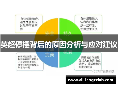 英超停摆背后的原因分析与应对建议 英超停摆背后的原因分析与应对建议