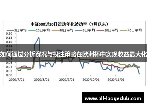 如何通过分析赛况与投注策略在欧洲杯中实现收益最大化