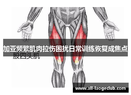 加亚频繁肌肉拉伤困扰日常训练恢复成焦点 加亚频繁肌肉拉伤困扰日常训练恢复成焦点